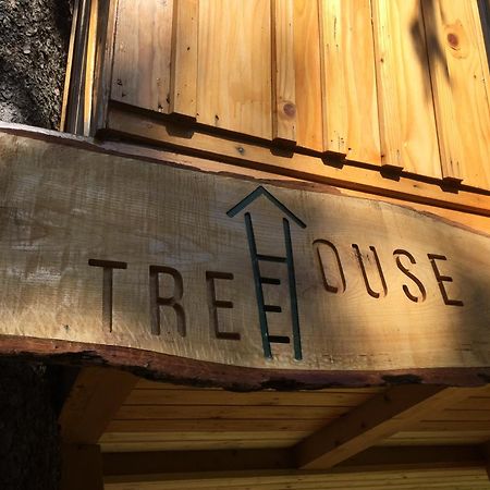 Вилла Tree House Alpinka Krvavec Церклье-на-Гореньскем Экстерьер фото