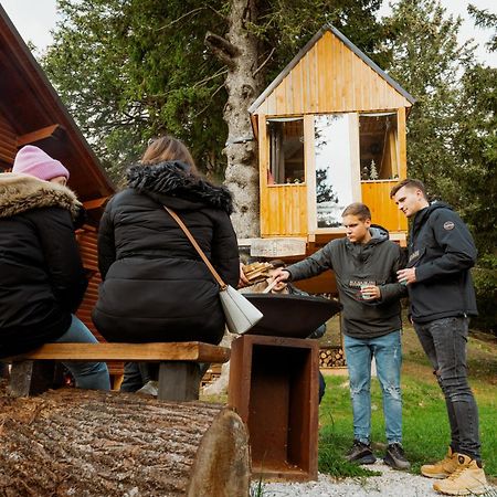 Вилла Tree House Alpinka Krvavec Церклье-на-Гореньскем Экстерьер фото