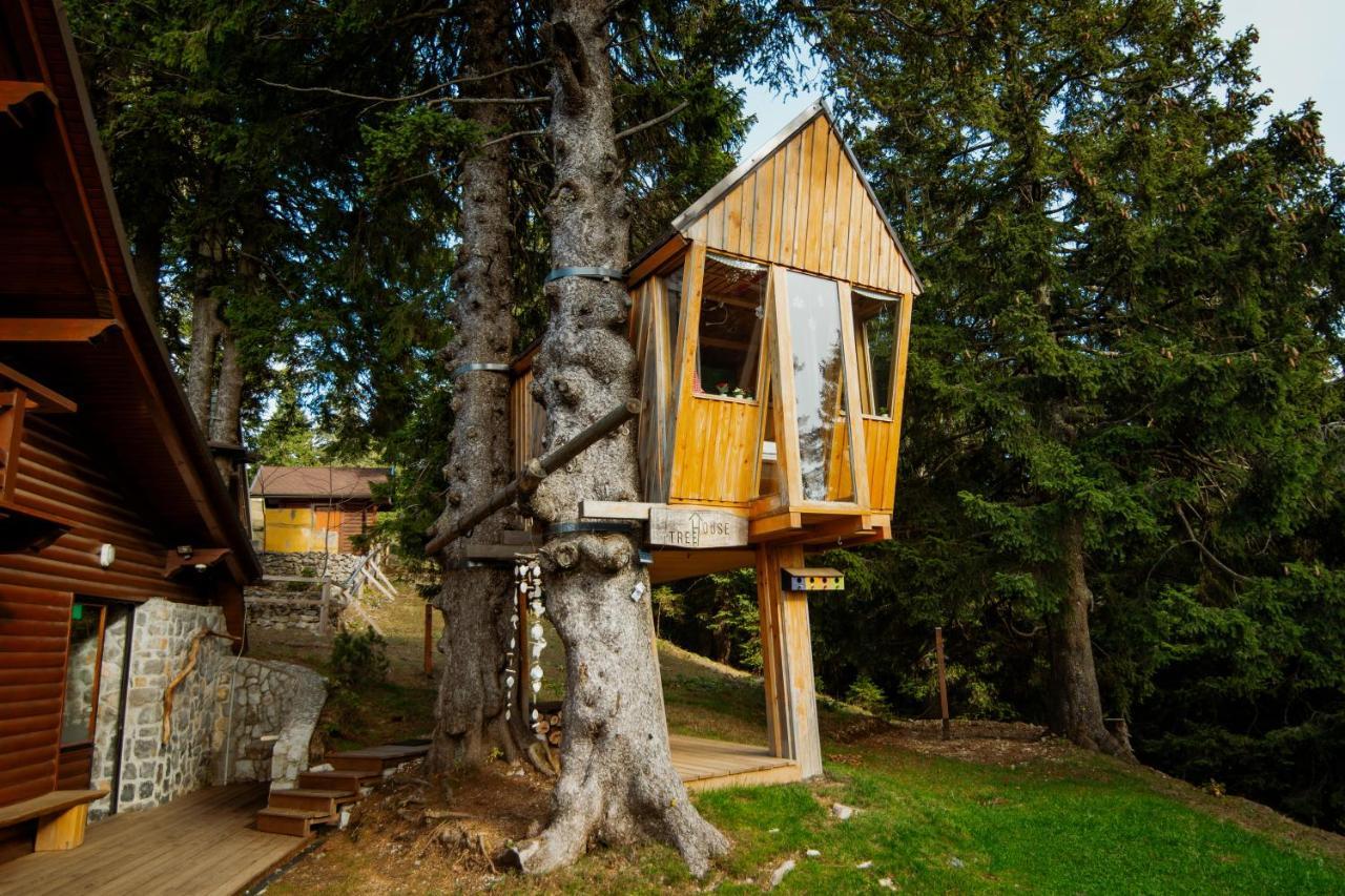 Вилла Tree House Alpinka Krvavec Церклье-на-Гореньскем Экстерьер фото