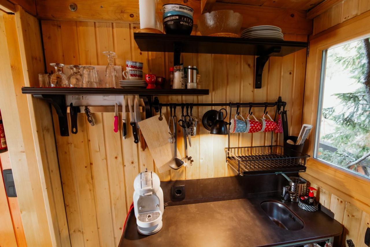 Вилла Tree House Alpinka Krvavec Церклье-на-Гореньскем Экстерьер фото